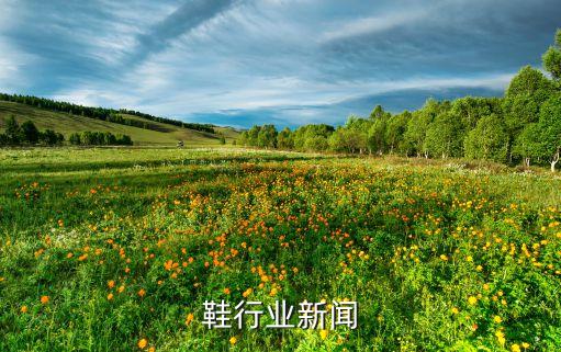 运动鞋行业新闻