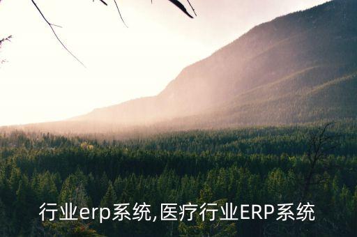 房产行业erp系统,医疗行业ERP系统