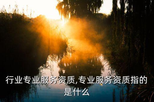 纺织行业专业服务资质,专业服务资质指的是什么