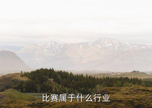 电竞比赛属于什么行业