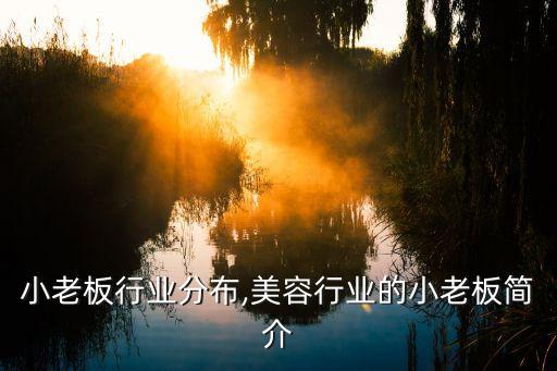 全国小老板行业分布,美容行业的小老板简介