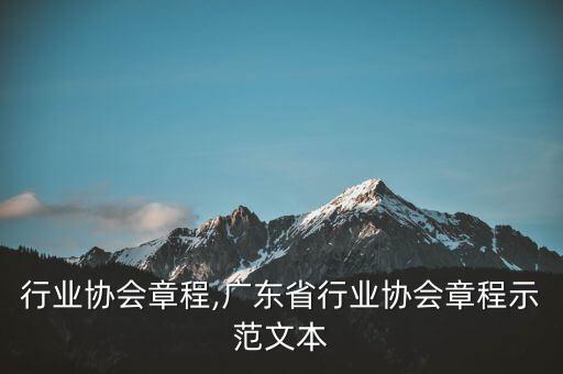电子行业协会章程,广东省行业协会章程示范文本