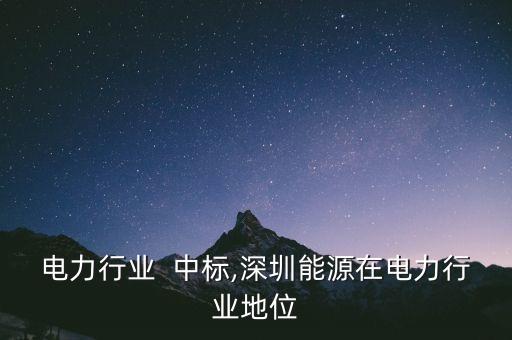 深圳电力行业  中标,深圳能源在电力行业地位