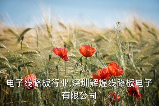 深圳电子线路板行业,深圳辉煌线路板电子有限公司