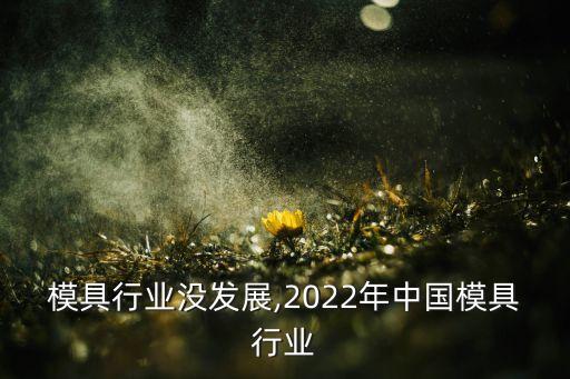 四年模具行业没发展,2022年中国模具行业