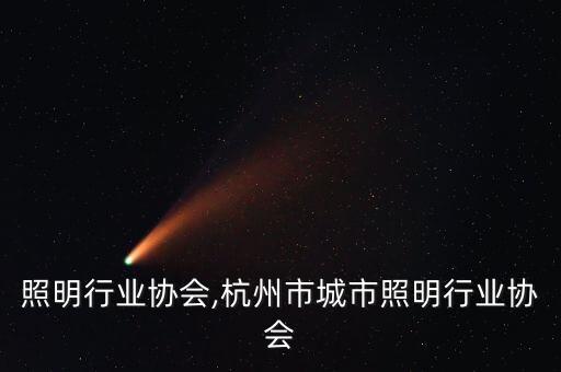 江苏照明行业协会,杭州市城市照明行业协会