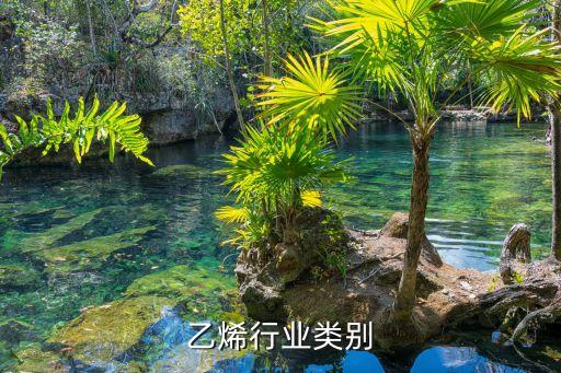 聚氯乙烯行业类别