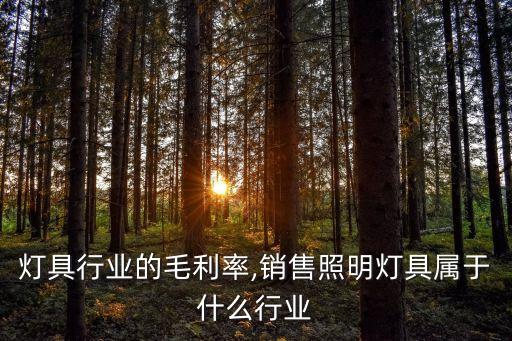 照明灯具行业的毛利率,销售照明灯具属于什么行业