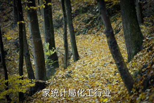 “国家统计局化工行业