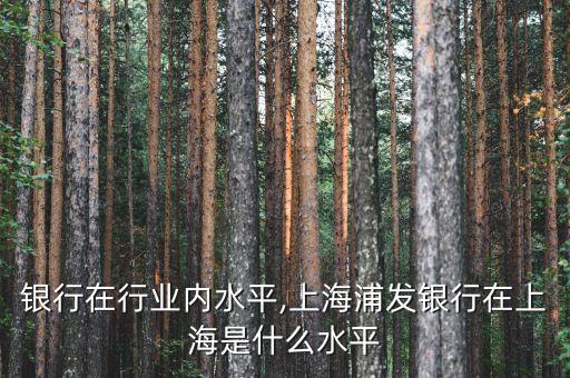 浦发银行在行业内水平,上海浦发银行在上海是什么水平