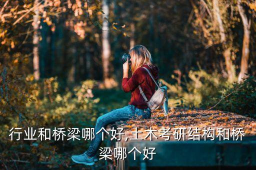 土木行业和桥梁哪个好,土木考研结构和桥梁哪个好