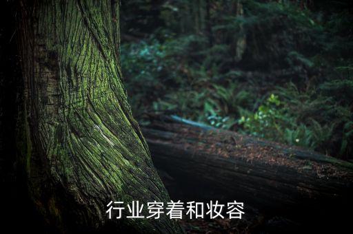 销售行业穿着和妆容