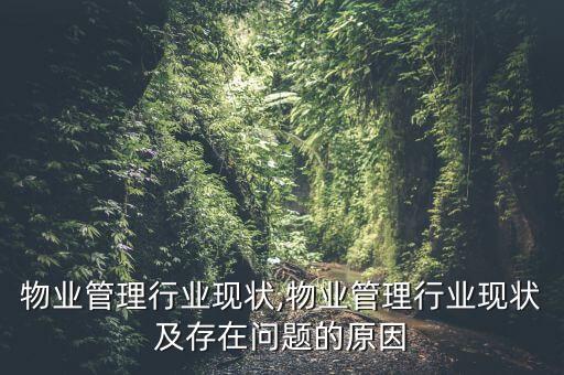 中国物业管理行业现状,物业管理行业现状及存在问题的原因