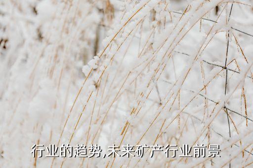 矿产行业的趋势,未来矿产行业前景