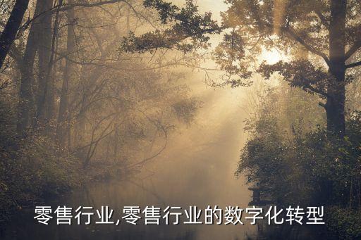 女鞋零售行业,零售行业的数字化转型