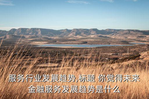 金融服务行业发展趋势,标题 你觉得未来金融服务发展趋势是什么?