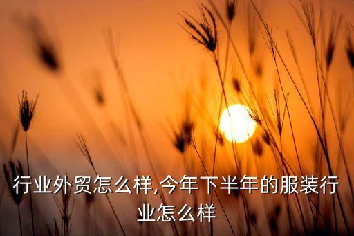 服装行业外贸怎么样,今年下半年的服装行业怎么样