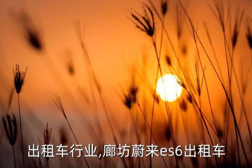 廊坊出租车行业,廊坊蔚来es6出租车