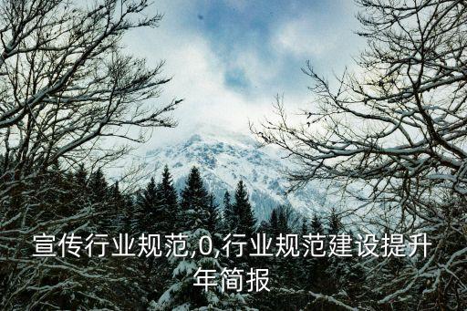 简报宣传行业规范,0,行业规范建设提升年简报