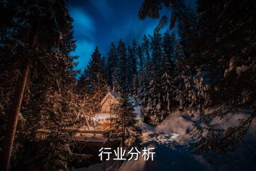 腐乳行业分析