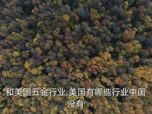 中国和美国五金行业,美国有哪些行业中国没有