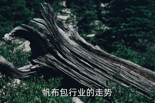 中国帆布包行业的走势