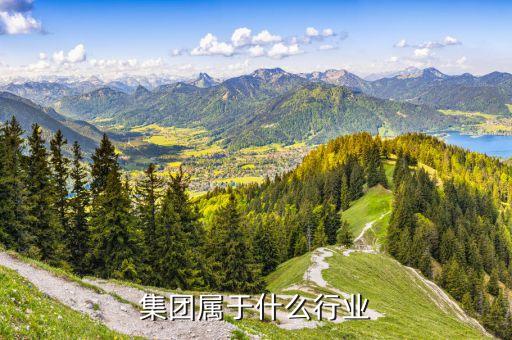 联想集团属于什么行业