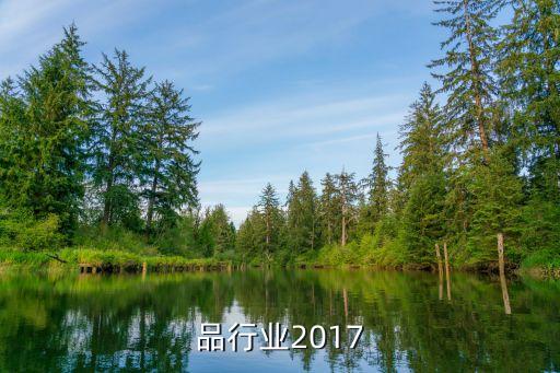 危化品行业2017