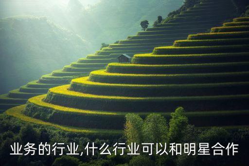 明星业务的行业,什么行业可以和明星合作
