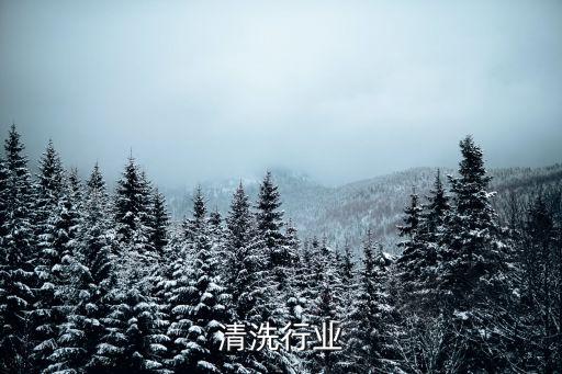 沙发清洗行业