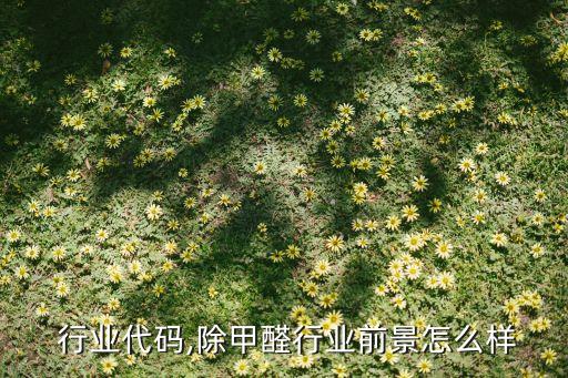 甲醛 行业代码,除甲醛行业前景怎么样