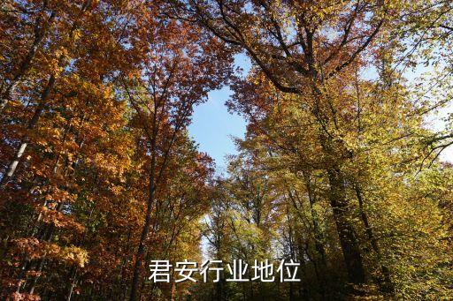 国泰君安行业地位
