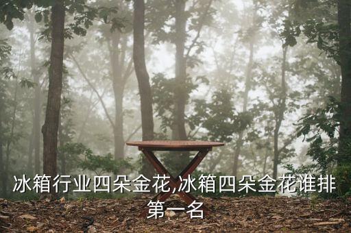 昔日冰箱行业四朵金花,冰箱四朵金花谁排第一名