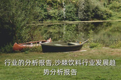 饮料行业的分析报告,沙棘饮料行业发展趋势分析报告