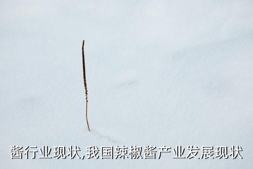辣椒酱行业现状,我国辣椒酱产业发展现状