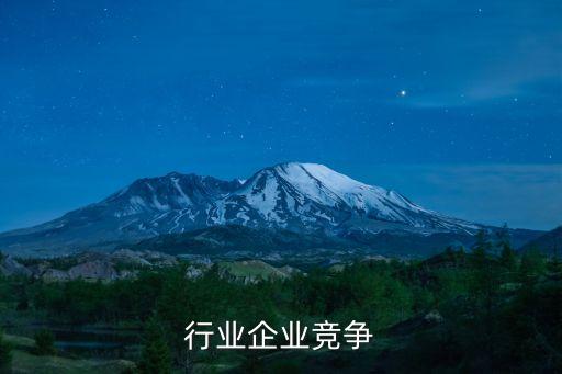 服装行业企业竞争