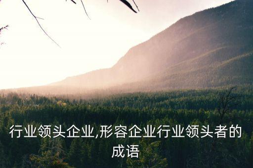 各个行业领头企业,形容企业行业领头者的成语