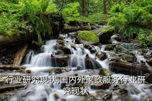 建材行业研究现状,国内外家政服务行业研究现状