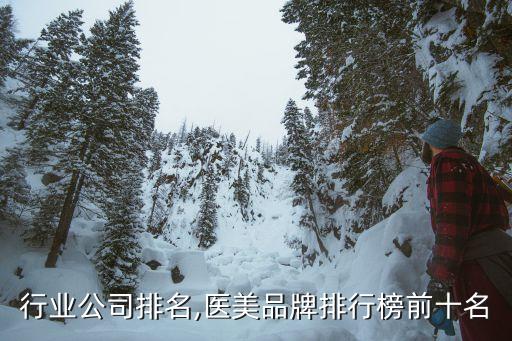 医美行业公司排名,医美品牌排行榜前十名