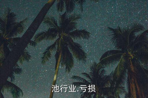 锂电池行业.亏损