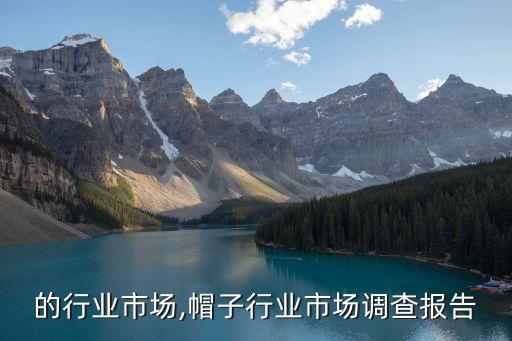 帽子的行业市场,帽子行业市场调查报告