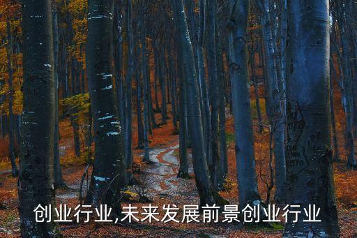 未来创业行业,未来发展前景创业行业