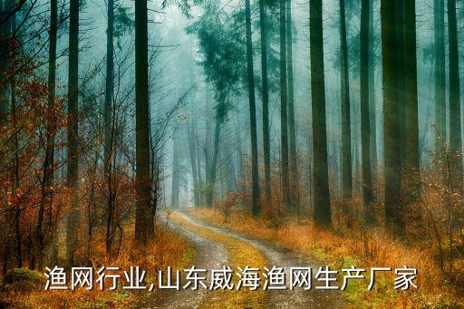 威海渔网行业,山东威海渔网生产厂家