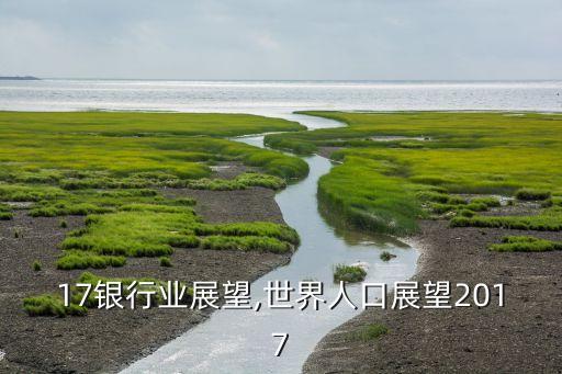 2017银行业展望,世界人口展望2017