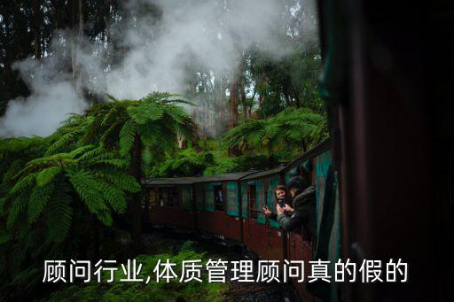 管理顾问行业,体质管理顾问真的假的