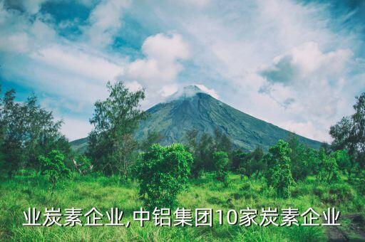 铝行业炭素企业,中铝集团10家炭素企业