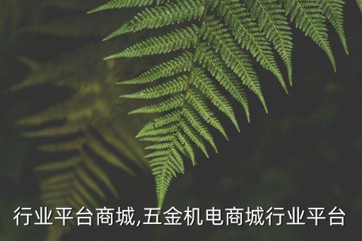 美食行业平台商城,五金机电商城行业平台