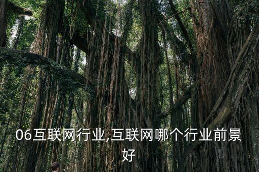 2006互联网行业,互联网哪个行业前景好