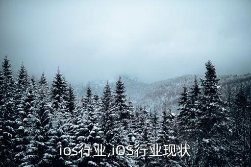 杭州ios行业,iOS行业现状