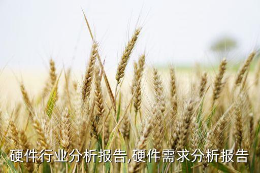 智能硬件行业分析报告,硬件需求分析报告